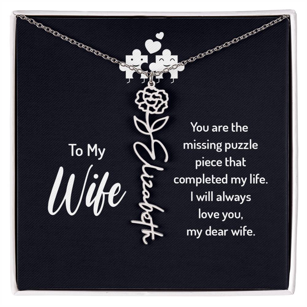 To my wife - you are the missing puzzle piece