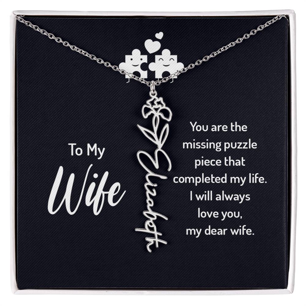 To my wife - you are the missing puzzle piece