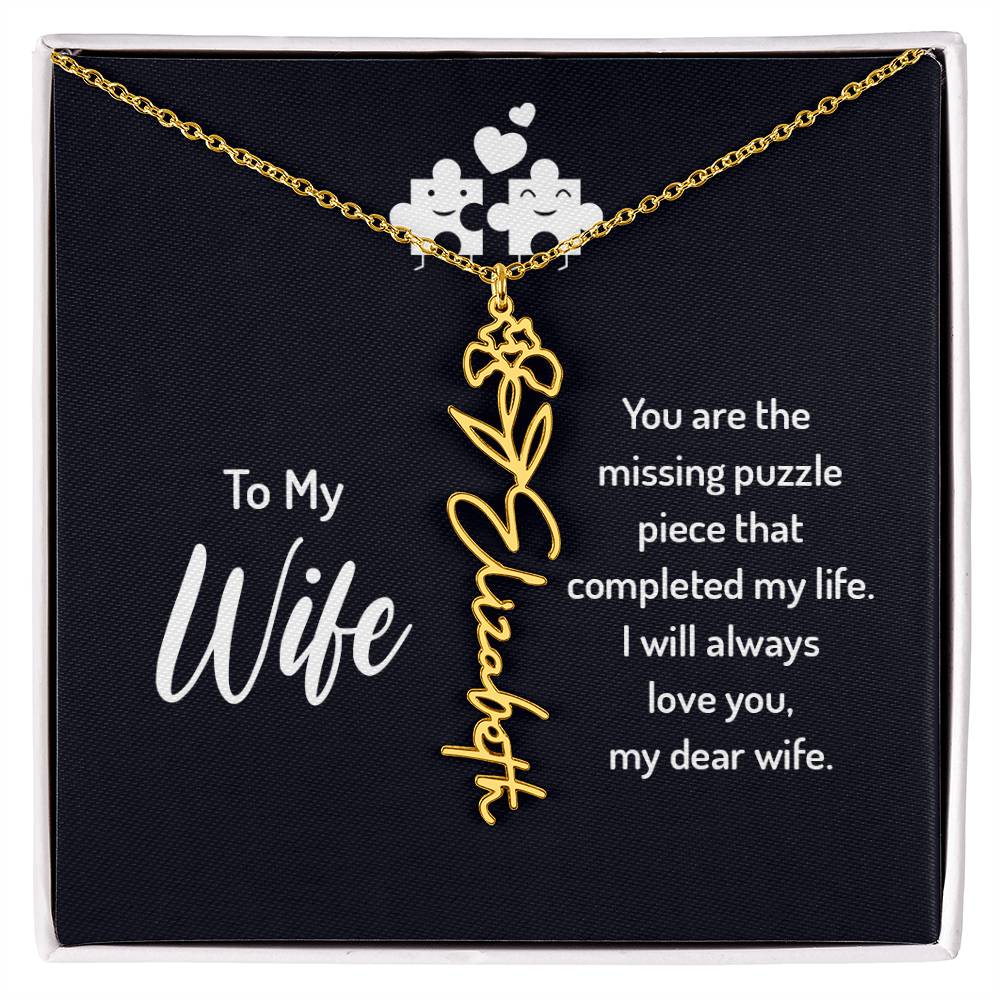 To my wife - you are the missing puzzle piece