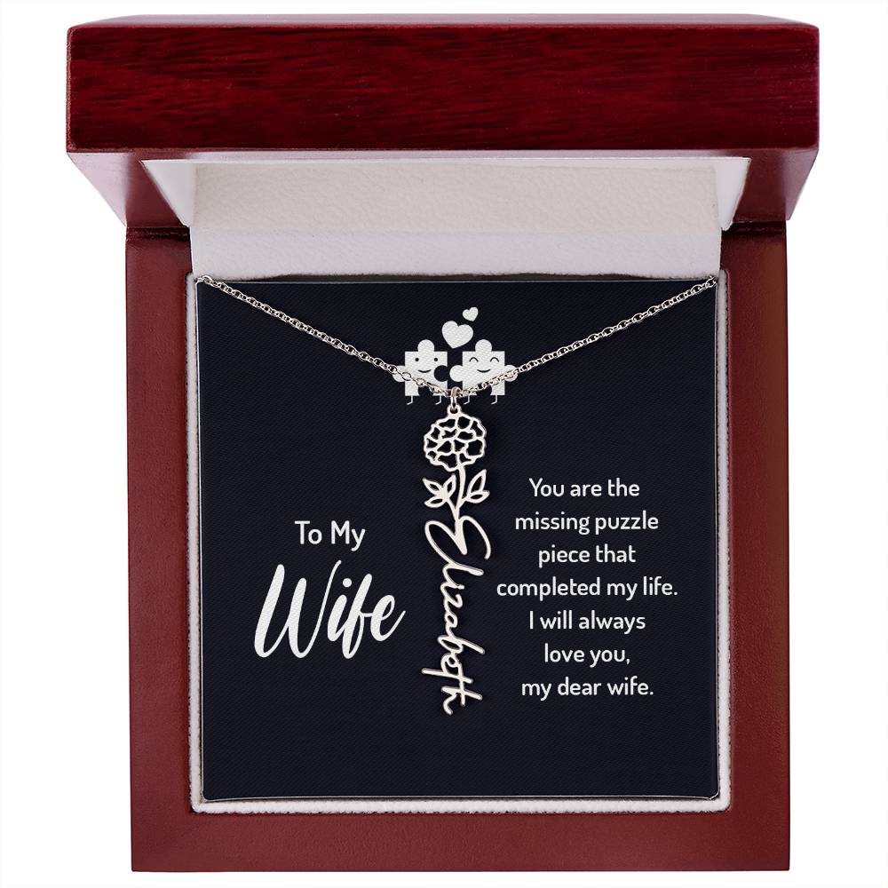 To my wife - you are the missing puzzle piece