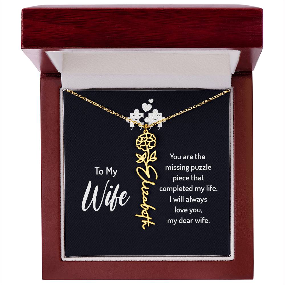 To my wife - you are the missing puzzle piece