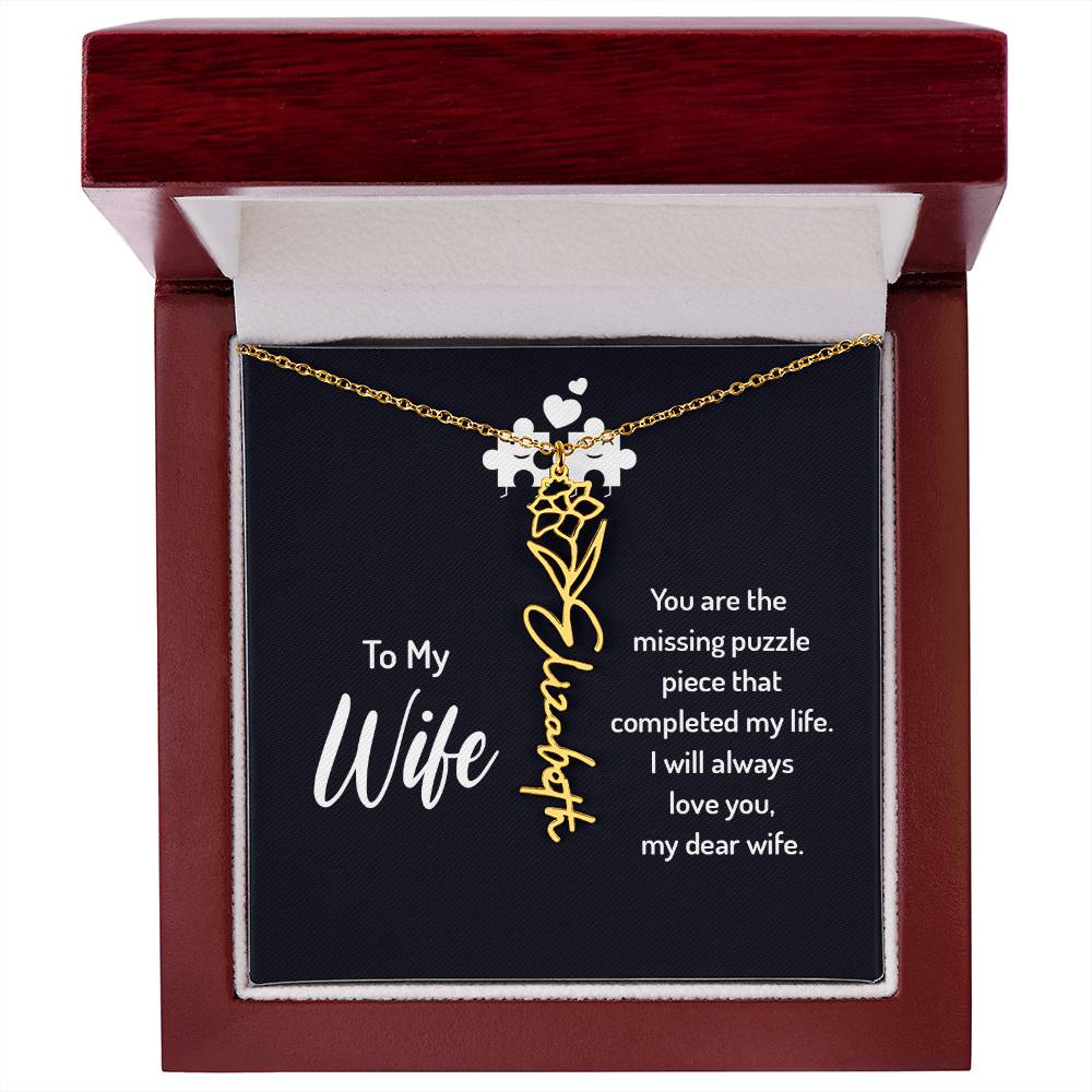 To my wife - you are the missing puzzle piece