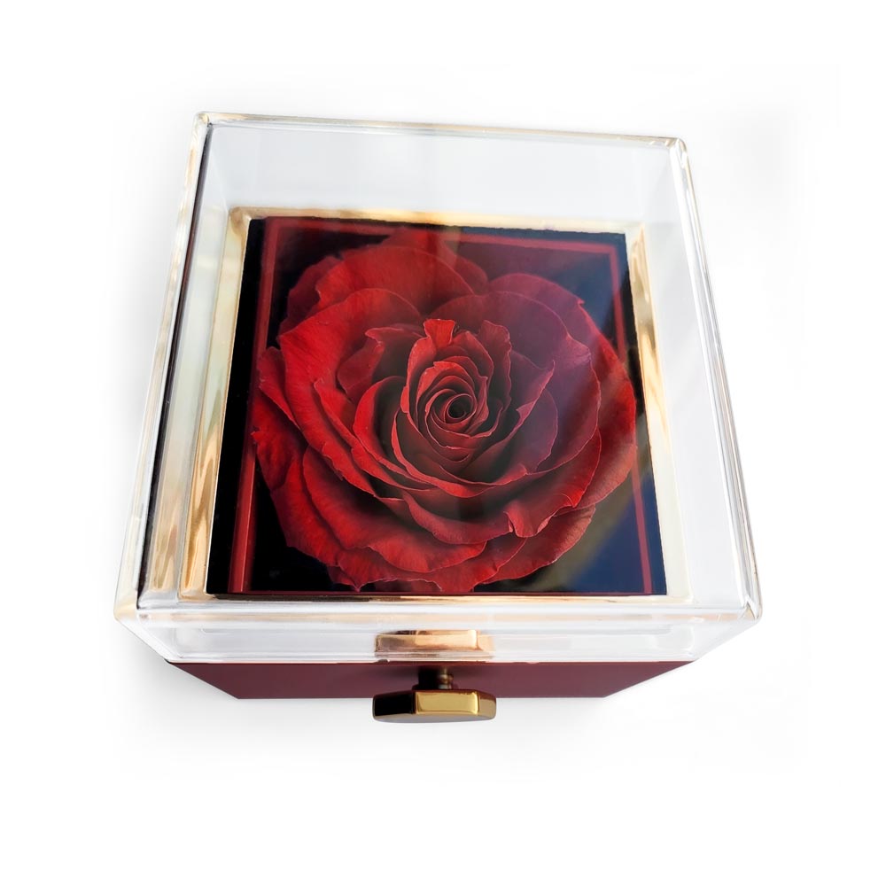 You Survive Raising Me Love Knot with Rotating Rose Gift Box